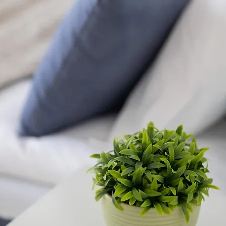 Jasny Z Dwoma Sypialniami I Biurkiem By Renters